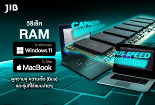 1781251012889-0-w6z3ss.webp